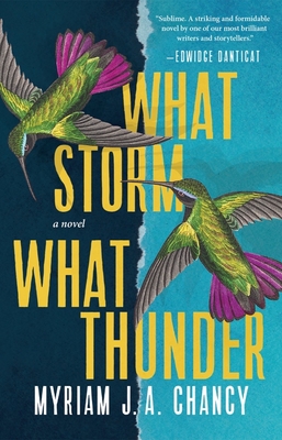 Book Cover Image of What Storm, What Thunder by Myriam J. A. Chancy