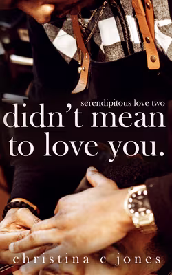 Cover: Didn’t Mean To Love You