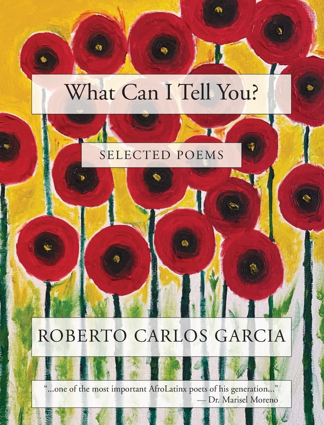 Book Cover for What Can I Tell You?