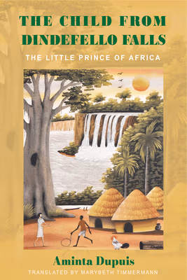 Cover: The Child from Dindefello Falls: The Little Prince of Africa