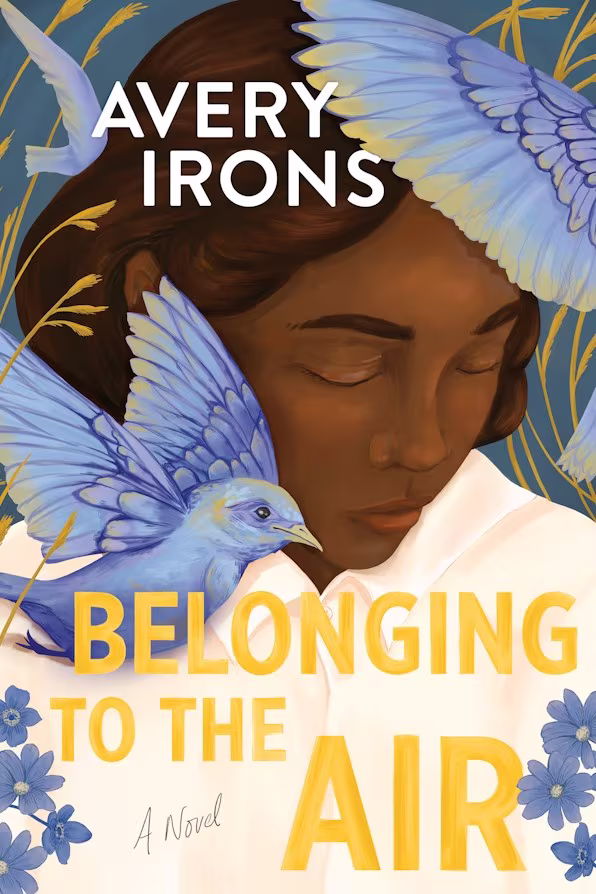 Cover: Belonging to the Air: A Novel