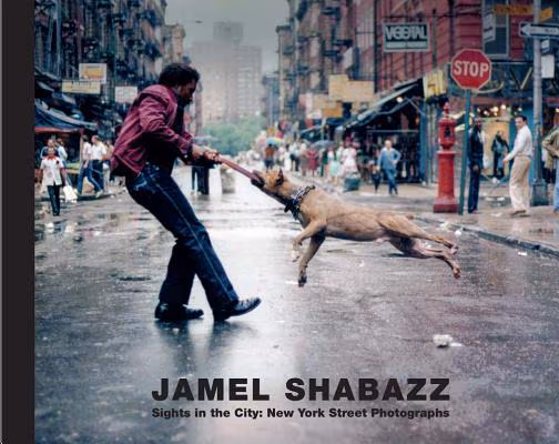 Cover: Jamel Shabazz: Sights in the City, New York Street Photographs