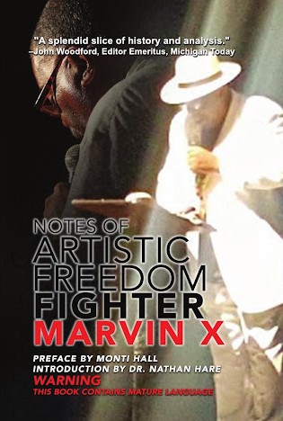 Cover: Notes of Artistic Freedom Fighter 
