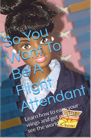 So You Want to Be a Flight Attendant: A Memoir