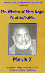 The Wisdom of Plato Negro: Parables/Fables