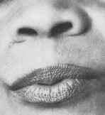 wpe7.jpg (49599 bytes)