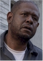 news-forest-whitaker2014