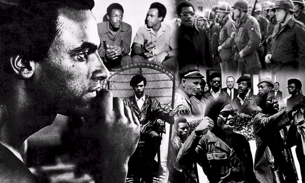 Black Panther Collage