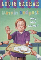 Why are you picking on me