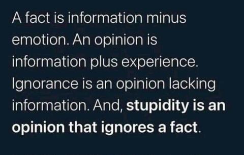 Facts are Information small 2.jpg