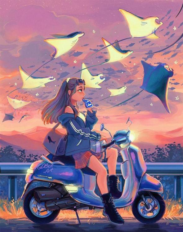 manta ray +scooter+aquarium appreciaiton by gdbee.jpg