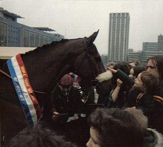 Red Rum born 1965 