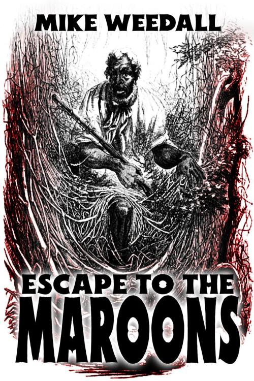 Small Cover--Maroon 1 (3).jpg